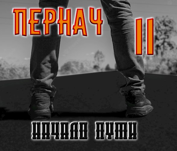 Обложка книги &laquo;Пернач II. Начало пути&raquo;, автор Алексей Глазков