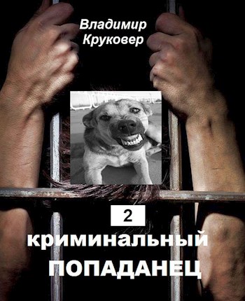 Обложка книги &laquo;Криминальный попаданец 2&raquo;, автор Владимир Круковер