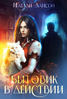 Обложка книги &laquo;Бытовик в действии&raquo;, автор Натали Лансон