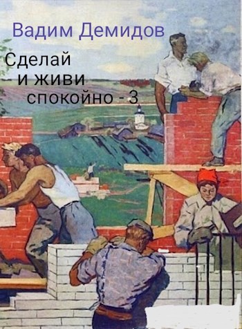 Обложка книги &laquo;Сделай и живи спокойно 3&raquo;, автор Вадим Демидов