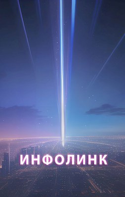 Обложка книги &laquo;Инфолинк&raquo;, автор Александр Чкалов