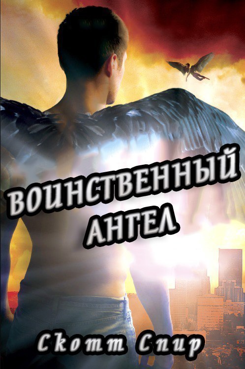 Обложка книги &laquo;Воинственный ангел&raquo;, автор Скотт Спир
