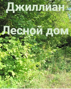 Обложка книги &laquo;Лесной дом&raquo;, автор Джиллиан
