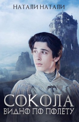 Обложка книги &laquo;Сокола видно по полёту&raquo;, автор Натали Натали