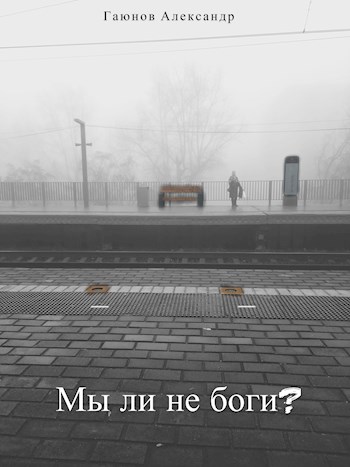 Обложка книги &laquo;Мы ли не боги?&raquo;, автор Александр Гаюнов