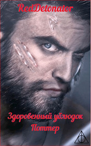 Обложка книги &laquo;Здоровенный ублюдок Поттер 2&raquo;, автор RedDetonator