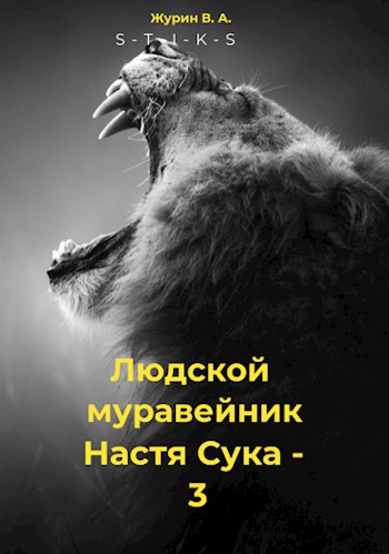 Обложка книги &laquo;Настя 3&raquo;, автор Владимир Журин