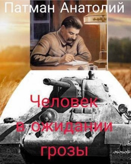 Обложка книги &laquo;Человек в ожидании грозы&raquo;, автор Анатолий Патман