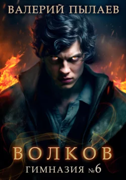 Обложка книги &laquo;Волков. Гимназия №6&raquo;, автор Валерий Пылаев