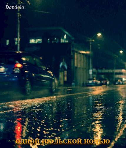 Обложка книги «Одной июльской ночью», автор Dandelo
