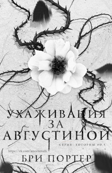 Обложка книги &laquo;Ухаживания за Августиной&raquo;, автор Бри Портер