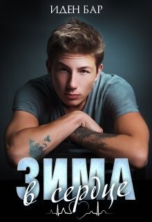 Обложка книги &laquo;Зима в сердце&raquo;, автор Иден Бар