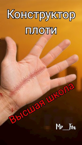 Обложка книги &laquo;Конструктор плоти. Высшая школа&raquo;, автор Mr_Fox