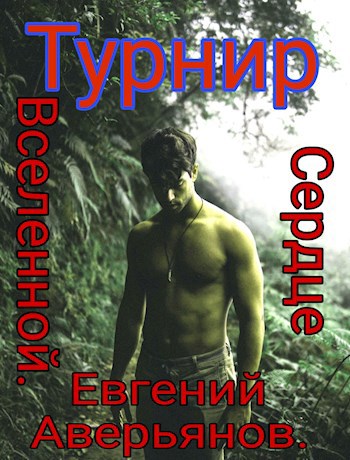 Обложка книги &laquo;Турнир&raquo;, автор Евгений Аверьянов