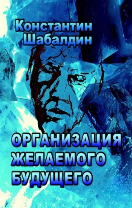 Обложка книги &laquo;Организация желаемого будущего&raquo;, автор Константин Шабалдин