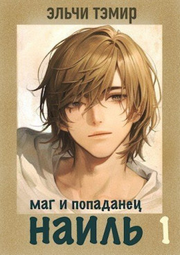 Обложка книги &laquo;Наиль. Маг и попаданец&raquo;, автор Эльчи Тэмир