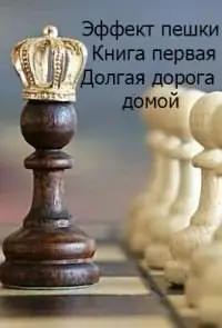 Обложка книги &laquo;Эффект пешки. Книга первая. Долгая дорога домой&raquo;, автор Валерий Софроний