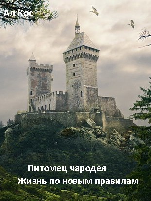 Обложка книги &laquo;Питомец чародея. Жизнь по новым правилам&raquo;, автор Ал Кос