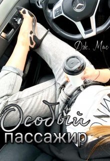 Обложка книги &laquo;Особый пассажир&raquo;, автор Дж. Мас