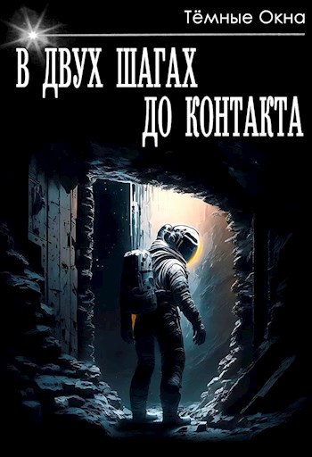 Обложка книги &laquo;В двух шагах до контакта&raquo;, автор Тёмные Окна