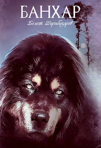 Обложка книги &laquo;Банхар&raquo;, автор Болот Ширибазаров