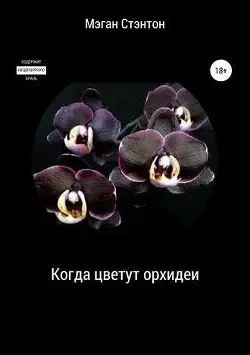 Обложка книги &laquo;Когда цветут орхидеи&raquo;, автор Мэган Стентон