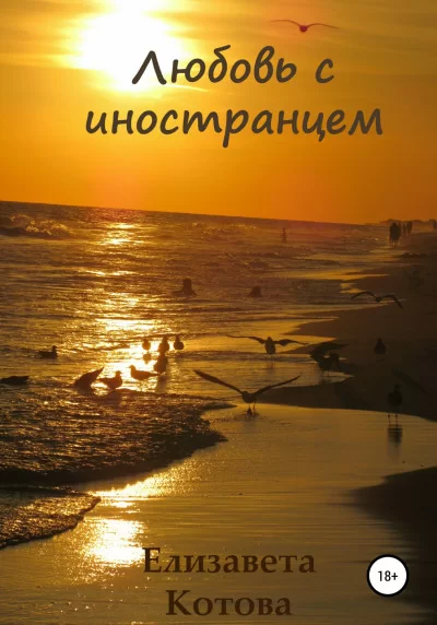 Обложка книги &laquo;Любовь с иностранцем&raquo;, автор Елизавета Котова