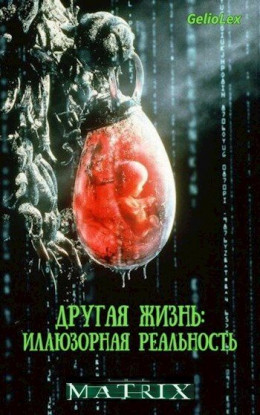 Обложка книги &laquo;Другая жизнь: Иллюзорная реальность&raquo;, автор GelioLex