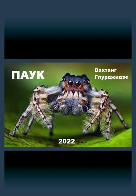 Обложка книги &laquo;Паук&raquo;, автор Вахтанг Глурджидзе