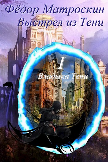 Обложка книги &laquo;Выстрел из Тени&raquo;, автор Фёдор Матроскин