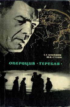 Обложка книги &laquo;В лабиринте замершего города&raquo;, автор Близнюк Семен