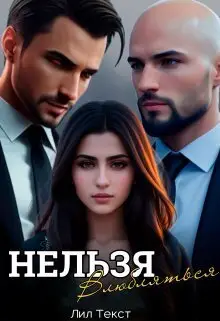 Обложка книги &laquo;Нельзя влюбляться&raquo;, автор Лил Текст